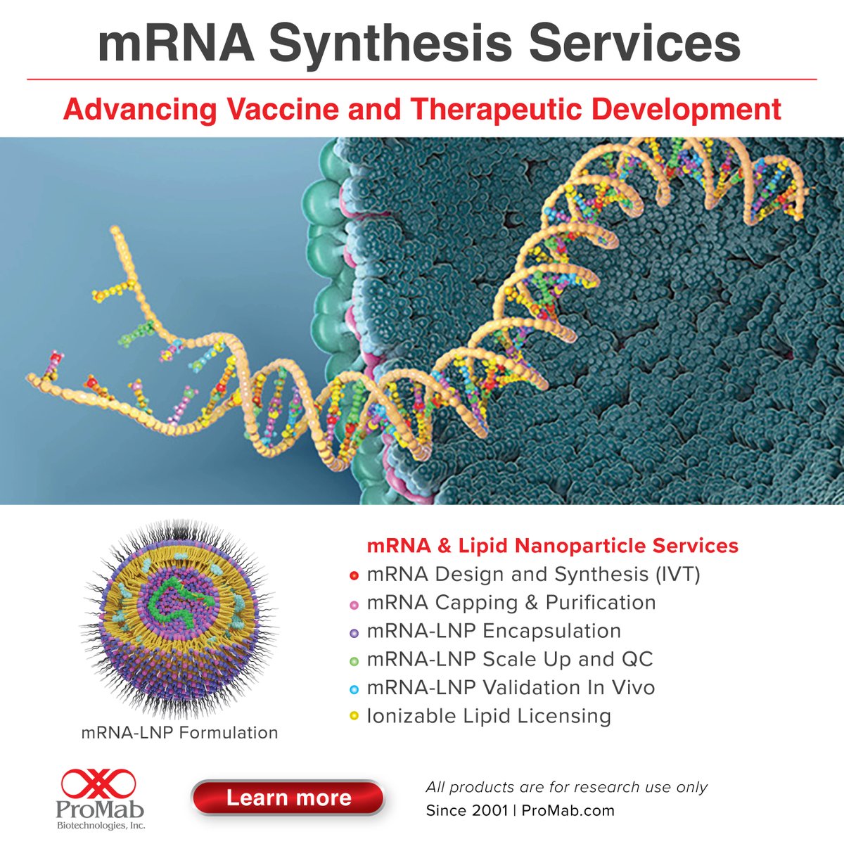 ProMabBiotech's tweet image. ProMab offers a range of mRNA-lipid nanoparticle (LNP) services for optimal cell transfection in vitro and in vivo! Learn more: hubs.li/Q03GM2sG0 #mrna #lnp #mrnalnp #immunology #celltherapy #Biotech #ProMabBioTech