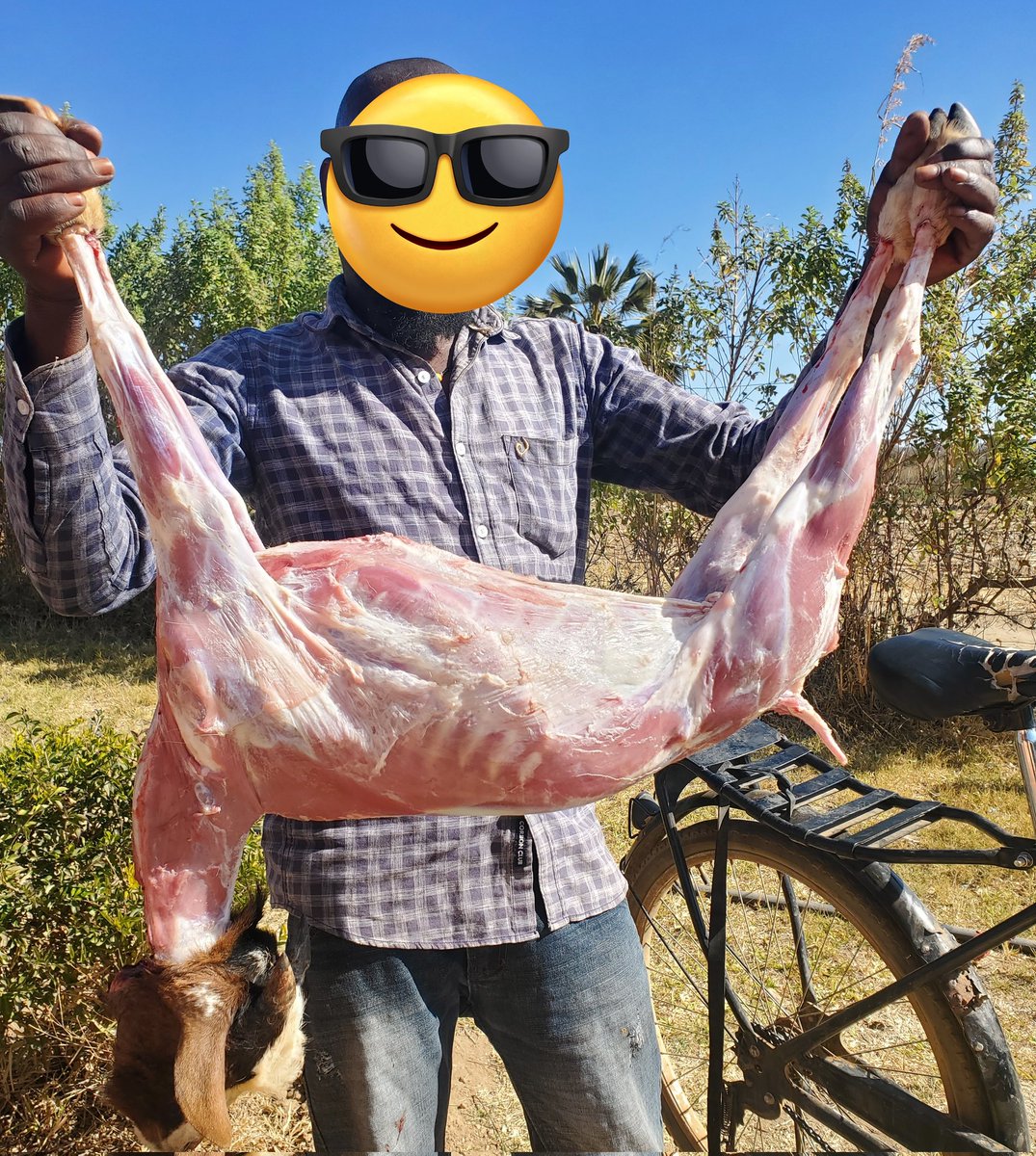WHOLE GOAT CARCASS GOING AT K550.

COMES WITH OFFALS &amp; THE HEAD. 

DELIVERY UPTO DOWNTOWN CHOPPIES K50 

CALL 0979370481 OR DM <a href="/Goatmeatplug/">GOAT MEAT PLUG</a> for orders.

KINDLY HELP ME RETWEET THIS 🙏 🙂