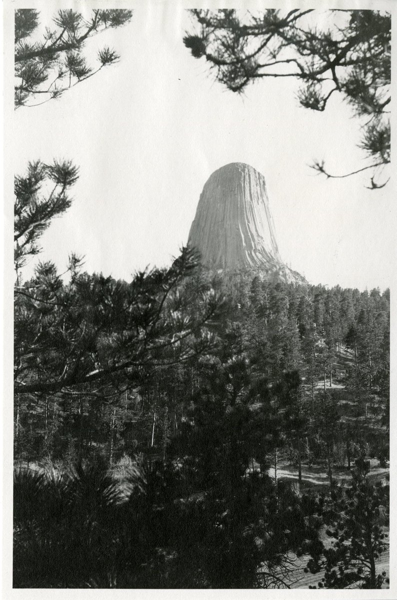 Denver Archives tweet media