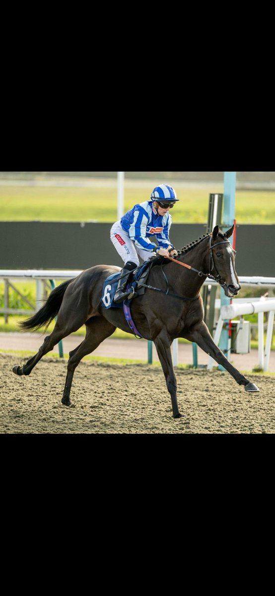 <a href="/ballyogue/">Paula</a> Portacloy as a foal and winning today <a href="/LingfieldPark/">Lingfield Park</a> <a href="/KublerRacing/">Kubler Racing</a> <a href="/HollieDoyle1/">Hollie Doyle</a> <a href="/Goffs1866/">Goffs</a>