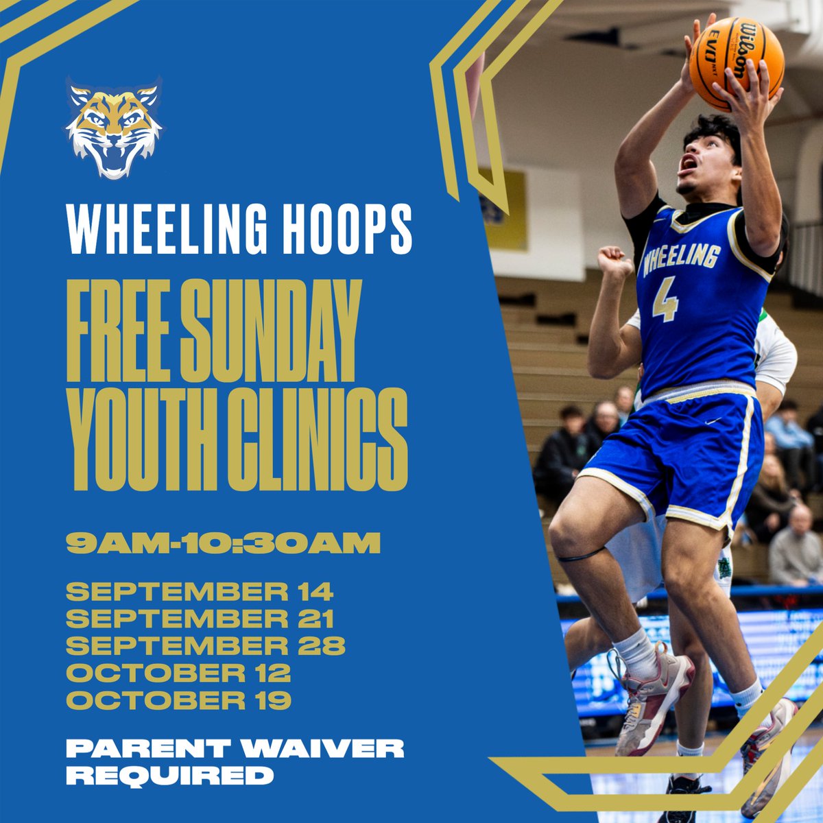 Wheeling Basketball (@wheeling_hoops) on Twitter photo Attention youth basketball players: FREE Sunday Youth Clinics this fall!
ποΈ Dates: 9/14, 9/21, 9/28, 10/12, & 10/19
β° Time: 9:00 AM - 10:30 AM
π Location: Wheeling High School Gym
A parent waiver is required to participate. You can find the waiver in our bio. <a href="/WHSactivities/">Wheeling Wildcats Athletics and Activities</a> Attention youth basketball players: FREE Sunday Youth Clinics this fall!
ποΈ Dates: 9/14, 9/21, 9/28, 10/12, & 10/19
β° Time: 9:00 AM - 10:30 AM
π Location: Wheeling High School Gym
A parent waiver is required to participate. You can find the waiver in our bio. <a href="/WHSactivities/">Wheeling Wildcats Athletics and Activities</a>