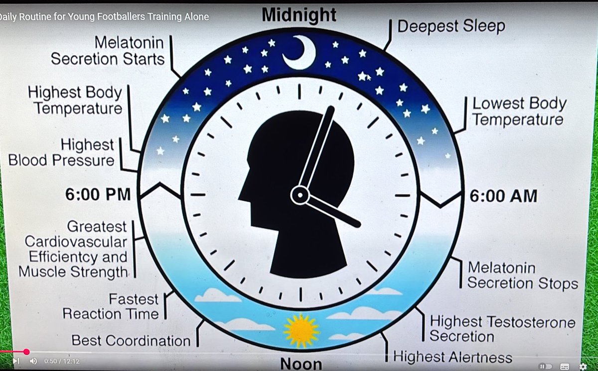 Thomasking0045 tweet media