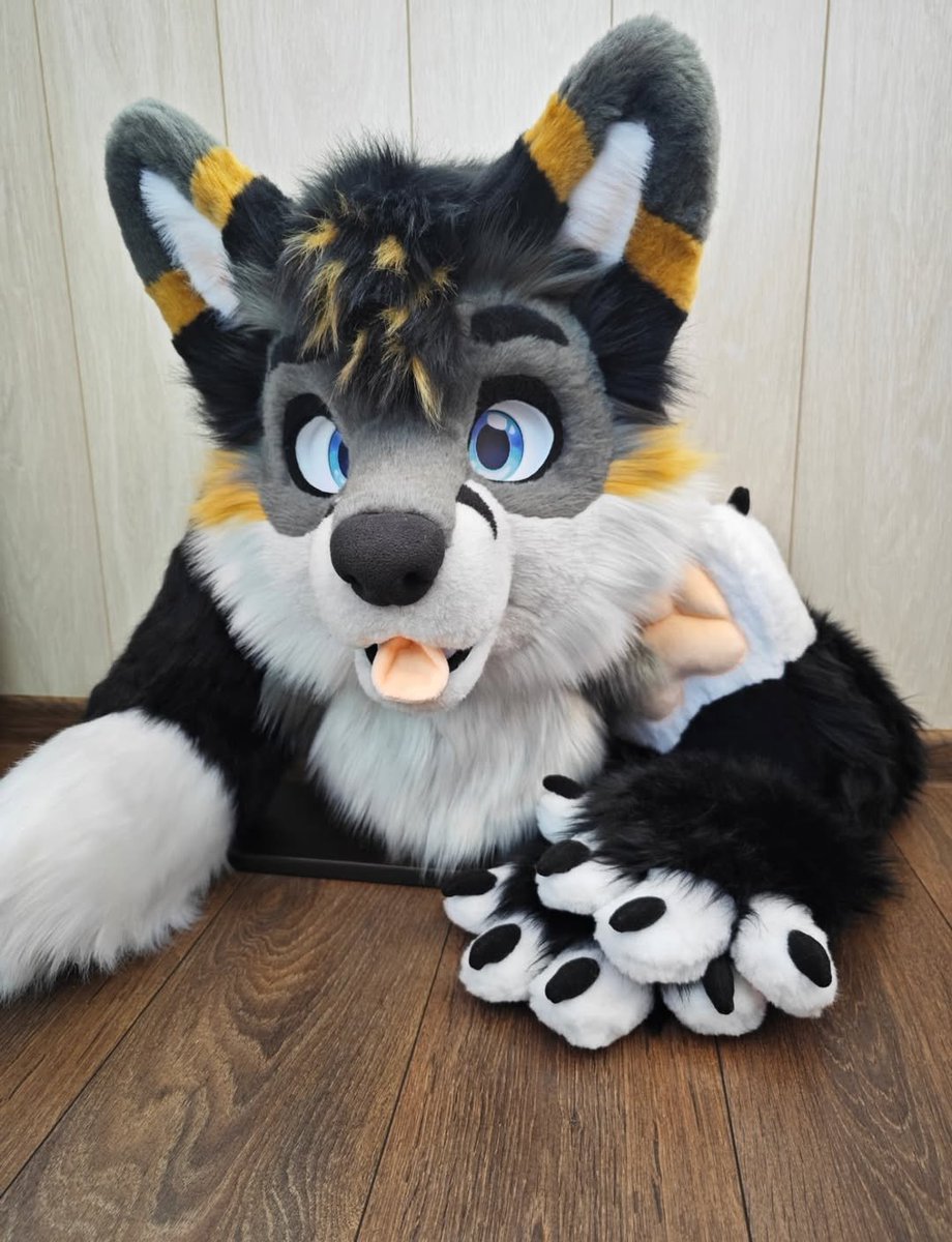 railionwol4224's tweet image. I still can&apos;t choose the eyelids that suit him better)
I also want to remind you that the commissions are open! 
the body is completely ready!) let&apos;s make paws and hit the road

#fursuitbuilder #fursuitpartial #fursuit #fursuitdancer #fursuiting #fursuitmakin #furry