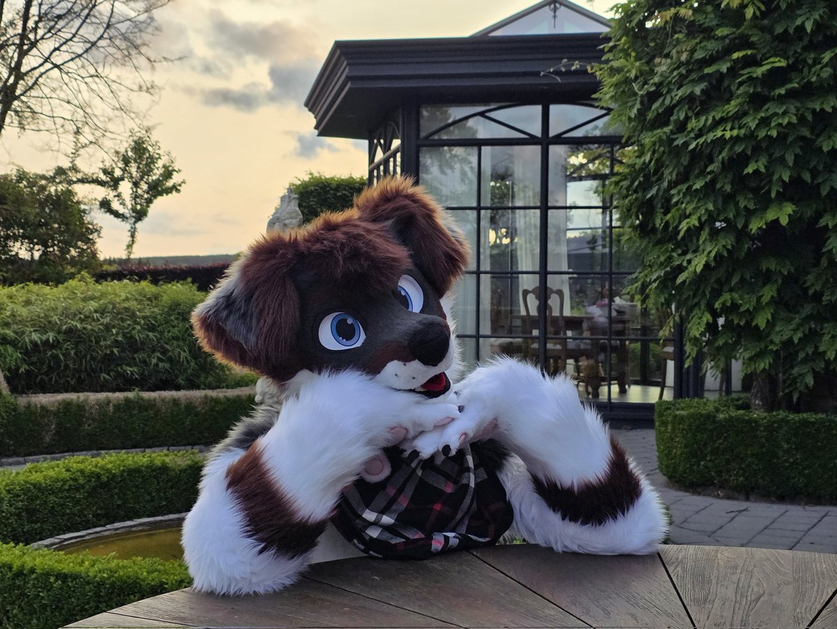 τακε®µ tweet media