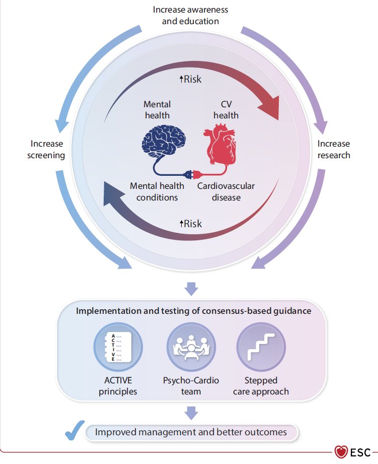 El Paido ®️ tweet media