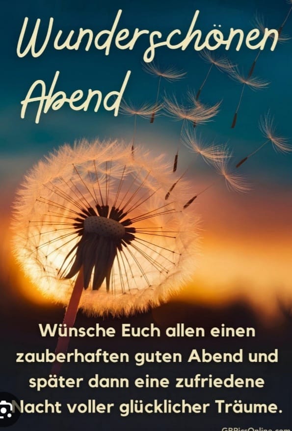 Soo ihr Lieben Xbirds. Es ist wieder so weit. 🤷‍♂️ Ich entschwinde mal frisch geduscht ins Land der Träume. 🥱 Habt alle einen schönen Abend noch. Später wünsche ich euch eine gute Nacht. Schlaft schön und träumt was schönes. 😇😴Bis morgen früh. 💚🫶Drück euch. 🫂 👋😘