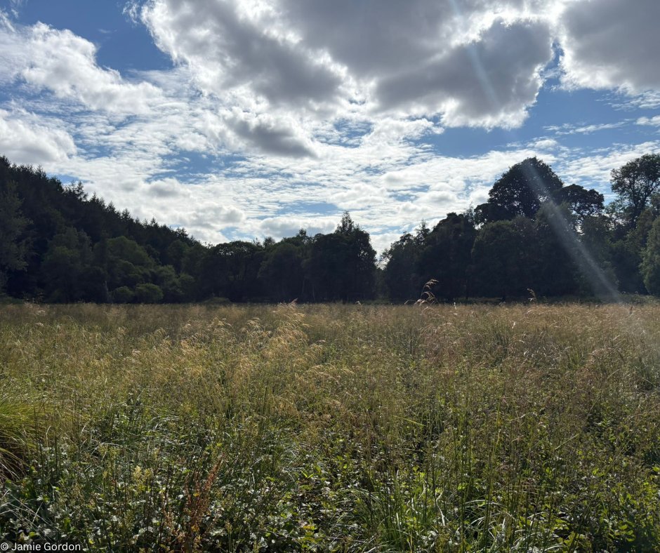 There were some big blue skies on our recent visit to Scotland's River Isla 💙 We've been advising on habitat enhancement opportunities in the upper reach of the river, as part of the ambitious 10-year #ProjectDeveron: atlanticsalmontrust.org/project-devero…