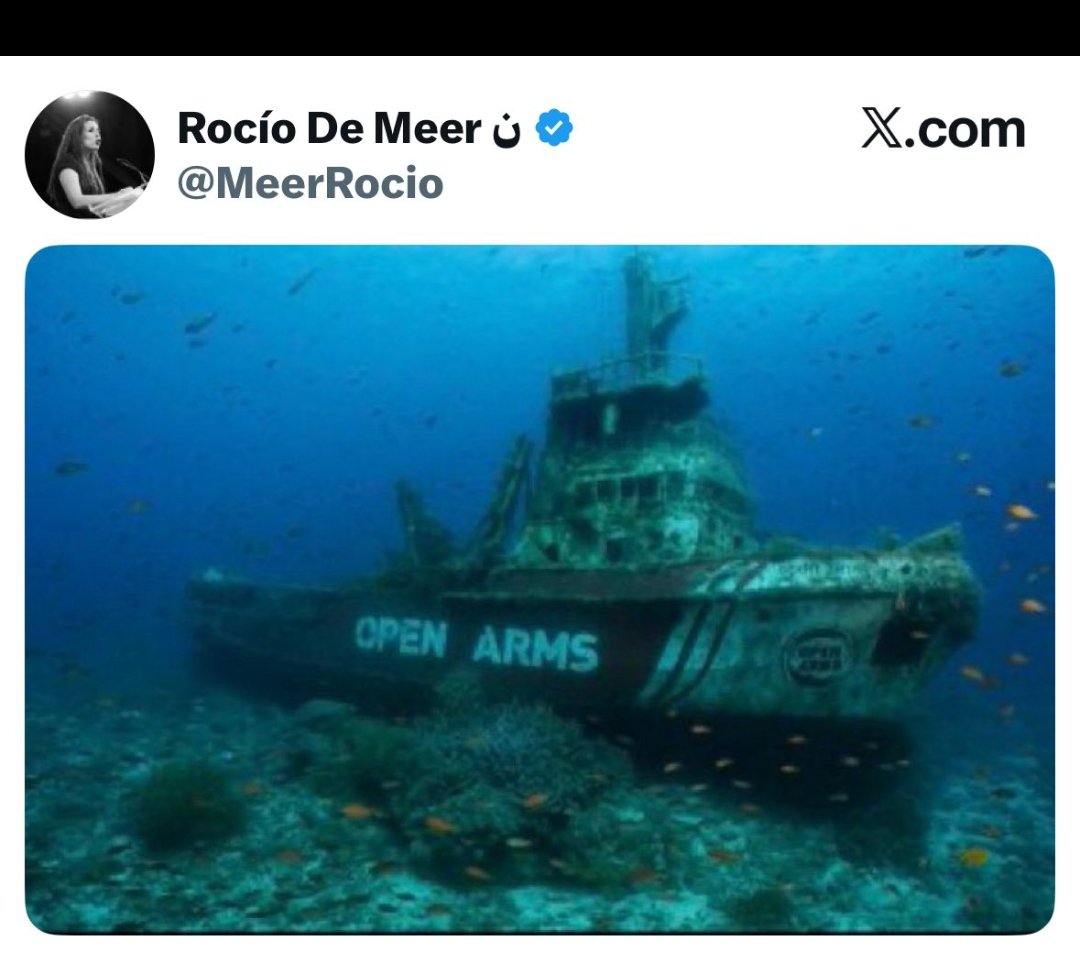 PerezKlavdia's tweet image. Aquí los únicos criminales en masa son los fascistas de VOX, que pretenden y proponen hundir los barcos de ayuda humanitaria en el fondo del Mediterráneo.
Lo demás son bulos para incitar al odio.
Eso sí que se les da bien.
Y sus medios afines exactamente igual.
#TheObjective