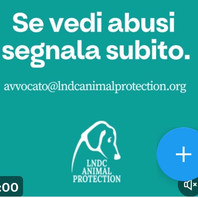 SE VEDI ABUSI SEGNALA SUBITO.👍👍👍👍🙏🙏