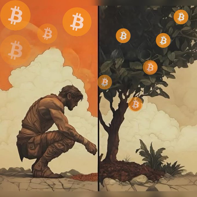 Regrets (@regrets10x) on Twitter photo The day you plant the seed is not the day you eat the fruit. 
Be patient The day you plant the seed is not the day you eat the fruit. 
Be patient