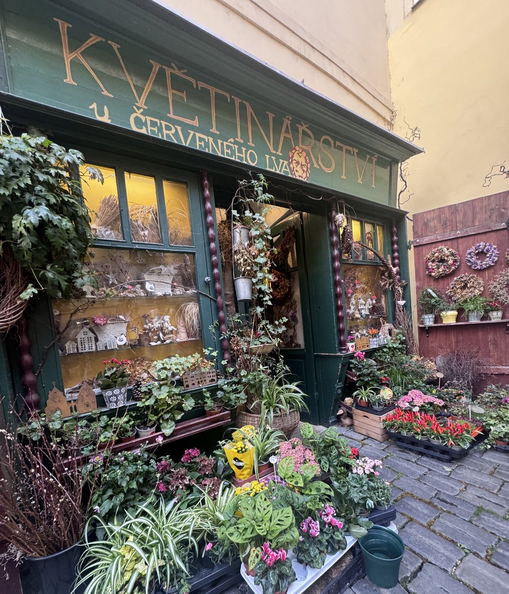 Tara Henry tweet media