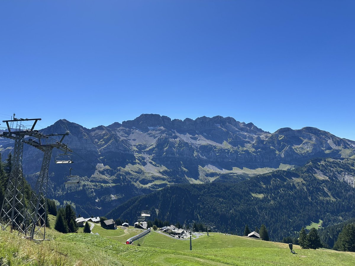 Will 🦦 tweet media