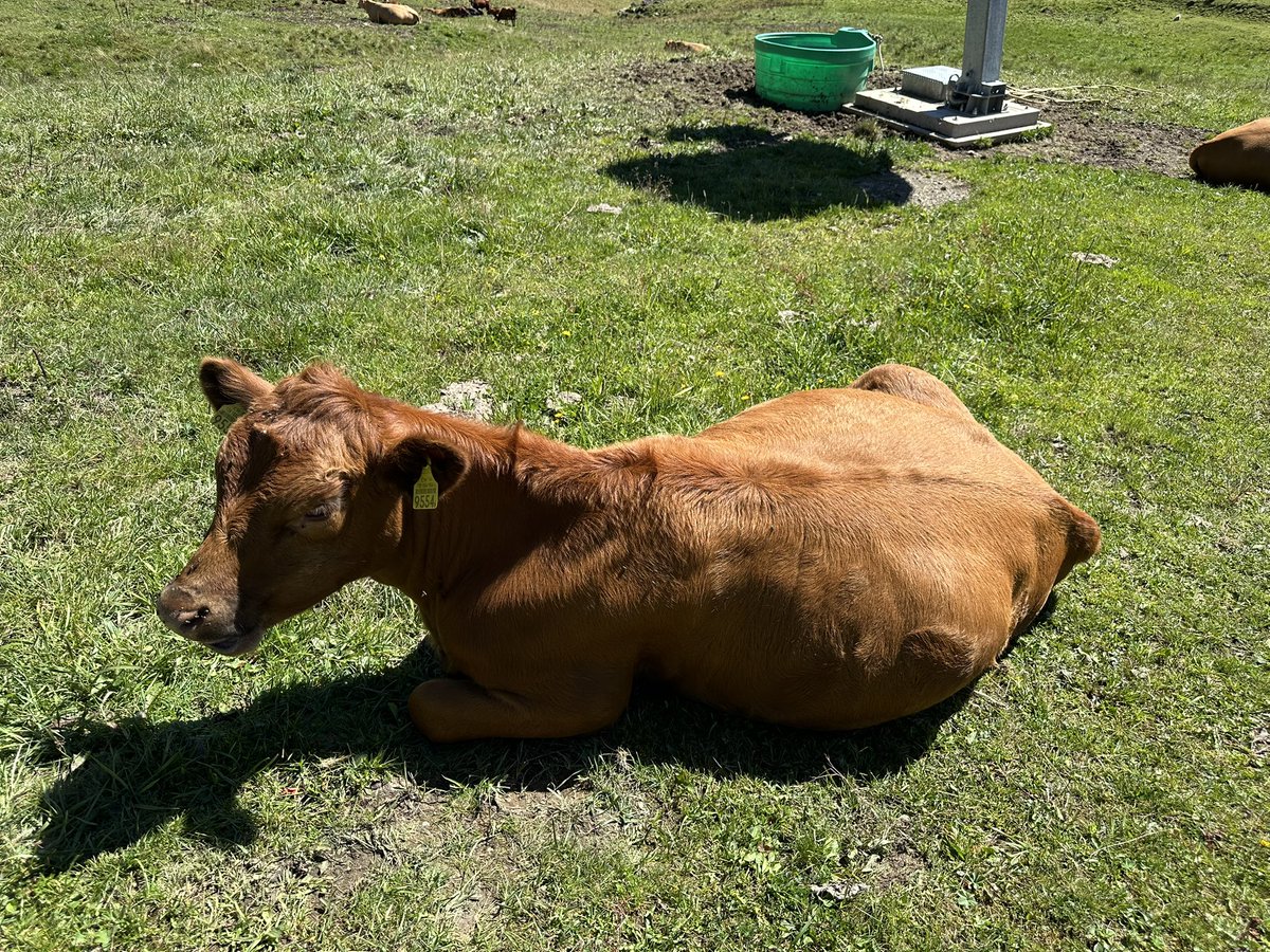 Will 🦦 tweet media