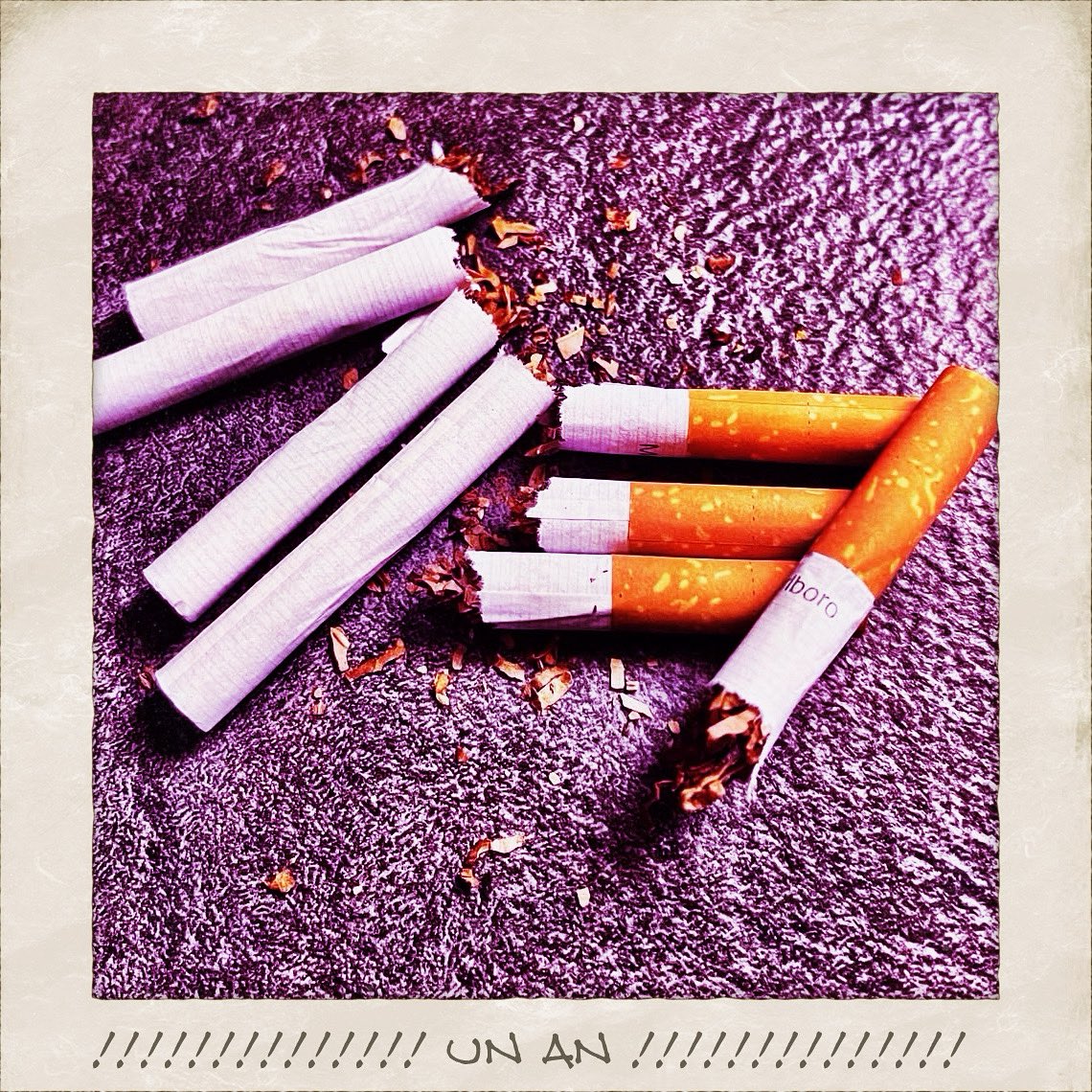 🌈 Tof 2 Lyon 🐻 tweet media