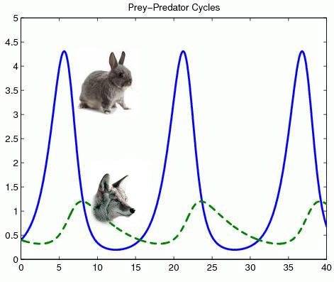 Prey-predator cycles graph illustrating oscillating populations