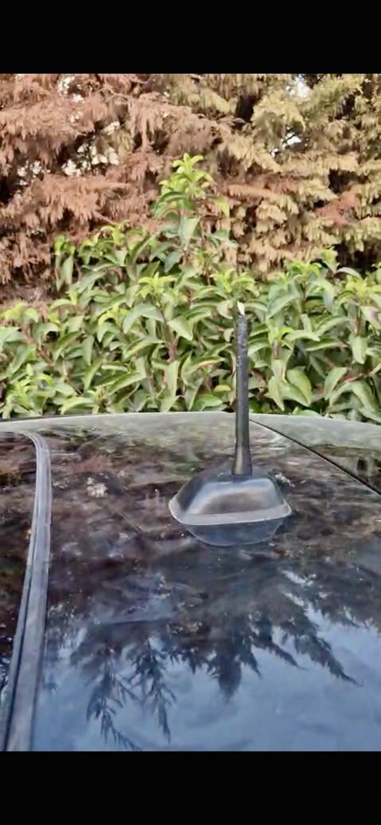 Sokağımızdaki başıboş köpeklerden bıktık. Arabaların üzerine yatıp kaportada çizik ve göçükler oluşturuyor, antenleri yiyorlar. Dışkıları her yerde.Cimere şikayet ettik, yer yokmuş, toplayamıyorlarmış. Hasarı kim karşılayacak? <a href="/KopekTehlikesi/">Başıboş Köpek Tehlikesi</a> <a href="/KopekSorunu/">Başıboş Köpek Sorunu - Stray Dog Problem</a> <a href="/TCTarim/">T.C. Tarım ve Orman Bakanlığı</a> <a href="/BodrumBel/">Bodrum Belediyesi</a>