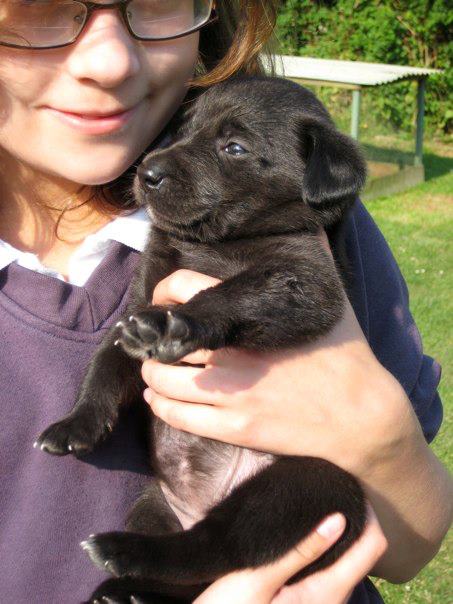 Today we said goodbye to our beautiful girl, Piper. She has been my best friend, my only sibling and my confidante since I was 12 years old. She was the most perfect girl we could have ever wished for, there wasn't a single thing about her that we would have changed.