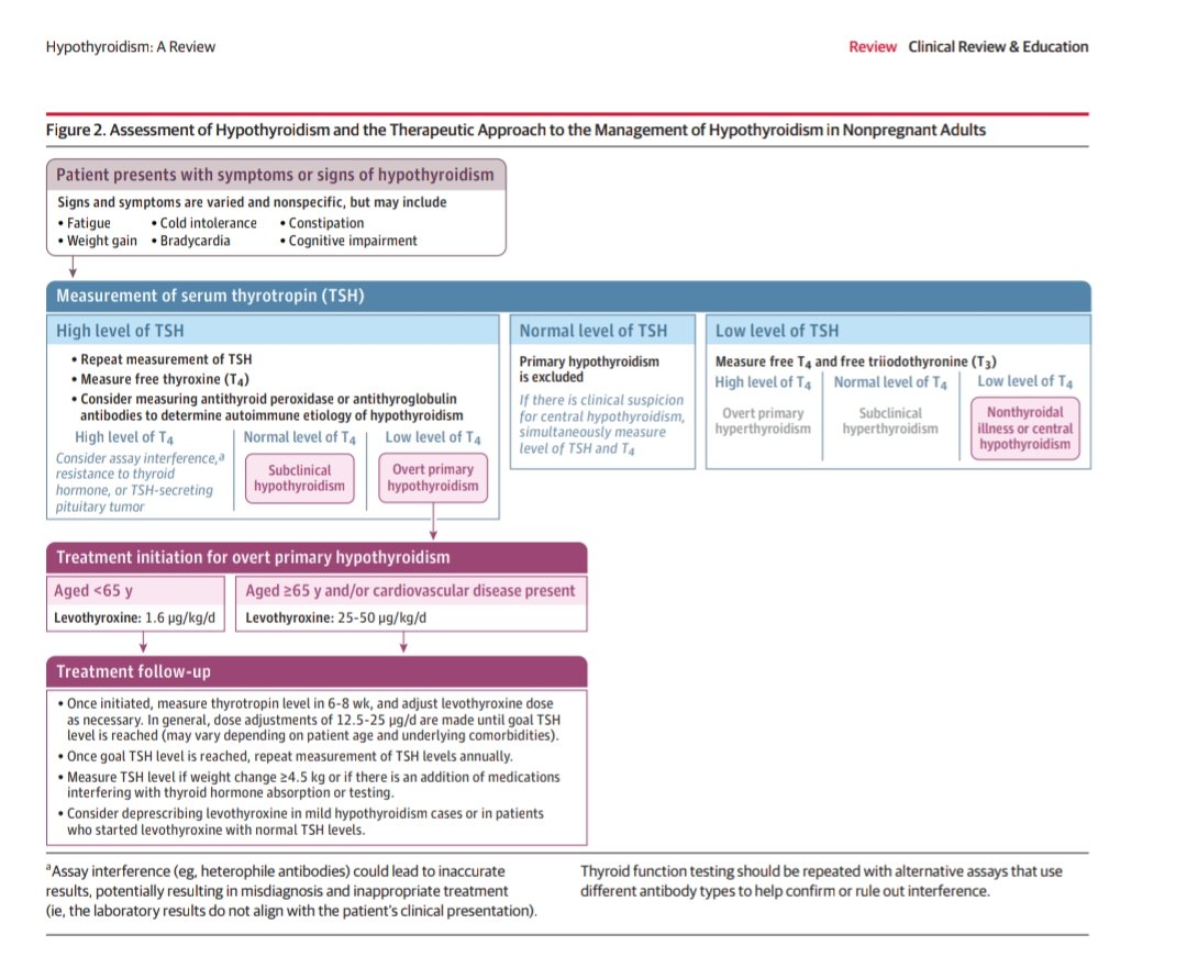 giorg_kyriakos's tweet image. 📢 New in @JAMA_current: Clinical Review on #Hypothyroidism

Why read it?
🔎 Clear algorithm for dx
💊 Practical LT4 dosing
📆 Monitoring
📦 FAQ: risk factors, initial dose, when to refer
‼️A must-read update for daily practice 👩‍⚕️👨‍⚕️

🔗 doi:10.1001/jama.2025.13559

#EndoTwitter