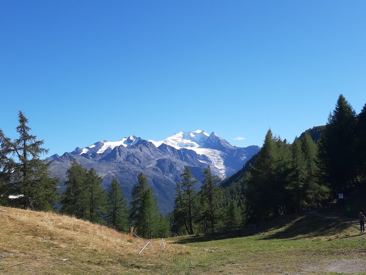brandiwein1982's tweet photo. Today, we drove to the #Moosalp. Best weather, a perfect view to the swiss alps and a great time and walk with friends! https://t.co/CqoPdgZpZ0