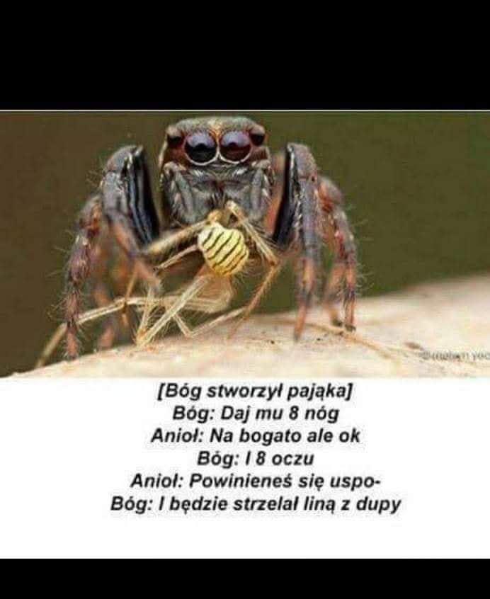 Ja zobaczyłam. Wy też musicie 😄😄😄