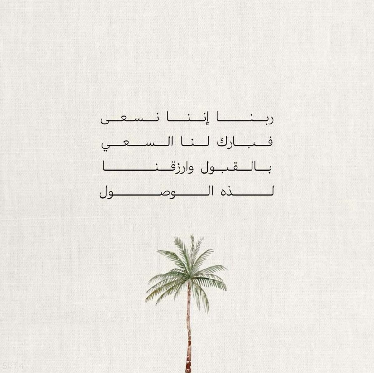 لين🪞 tweet media