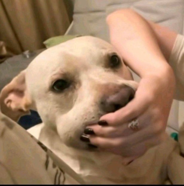 Estão a tentar convencer-me que Educação é “privilégio”, mas resgatar os novos bancos de gestão privada da vida é “dever da sociedade”