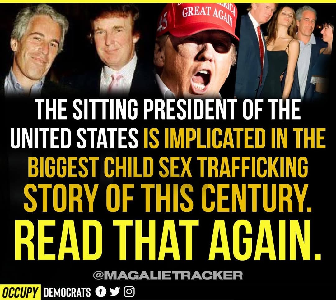 TrahanMerrilee's tweet image. #ReleaseAllEpsteinFiles 
#VictimsVoicesMatter 
#PedoRapistFelon45 
#ItsNotGoingAway