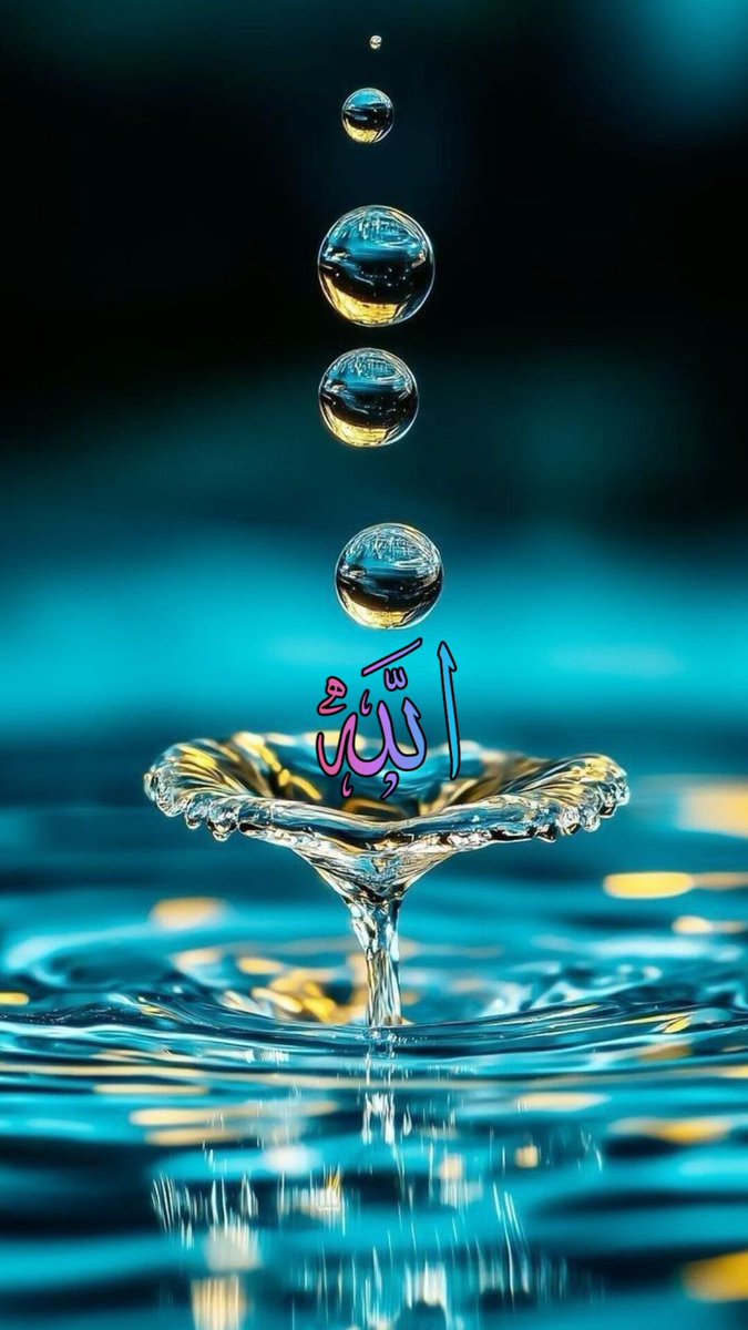 ✰ ✫

سبحـان من وهب كلمـة «ياربّ» 
إتكال وتفويض تكفينا وتهدينا وتيّقنا.

#صلاة_الوتر 🩵