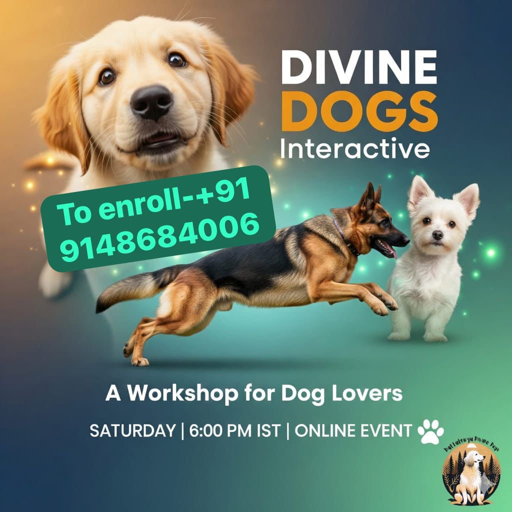 swayambhusoham's tweet image. Upcoming #caninebehaviour session. Link to previous :  youtu.be/6dZ5gdnxN9A?si…. . #citizens must take efforts to understand #StrayDogs #straydogmenace #DogLovers #Dogs ##doghaters #Pets