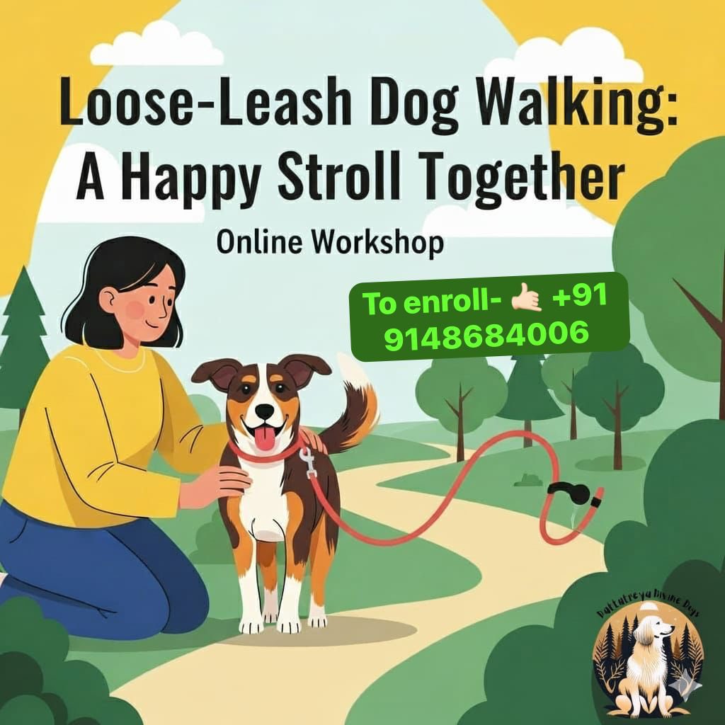 swayambhusoham's tweet image. Upcoming #caninebehaviour session. Link to previous :  youtu.be/6dZ5gdnxN9A?si…. . #citizens must take efforts to understand #StrayDogs #straydogmenace #DogLovers #Dogs ##doghaters #Pets