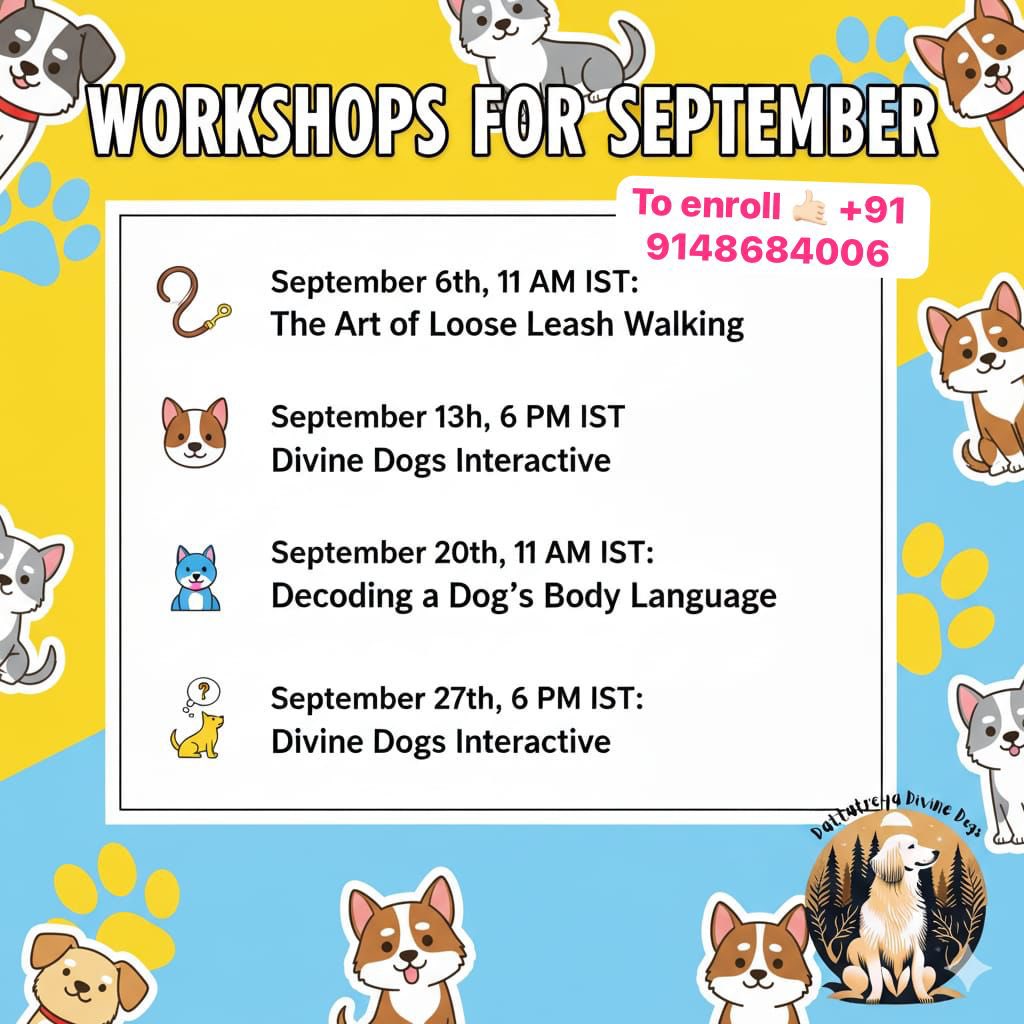 swayambhusoham's tweet image. Upcoming #caninebehaviour session. Link to previous :  youtu.be/6dZ5gdnxN9A?si…. . #citizens must take efforts to understand #StrayDogs #straydogmenace #DogLovers #Dogs ##doghaters #Pets