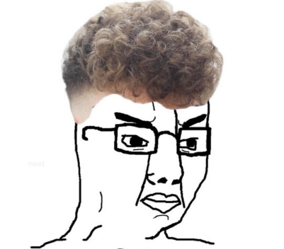 Meme of a NEET character with curly hair and glasses