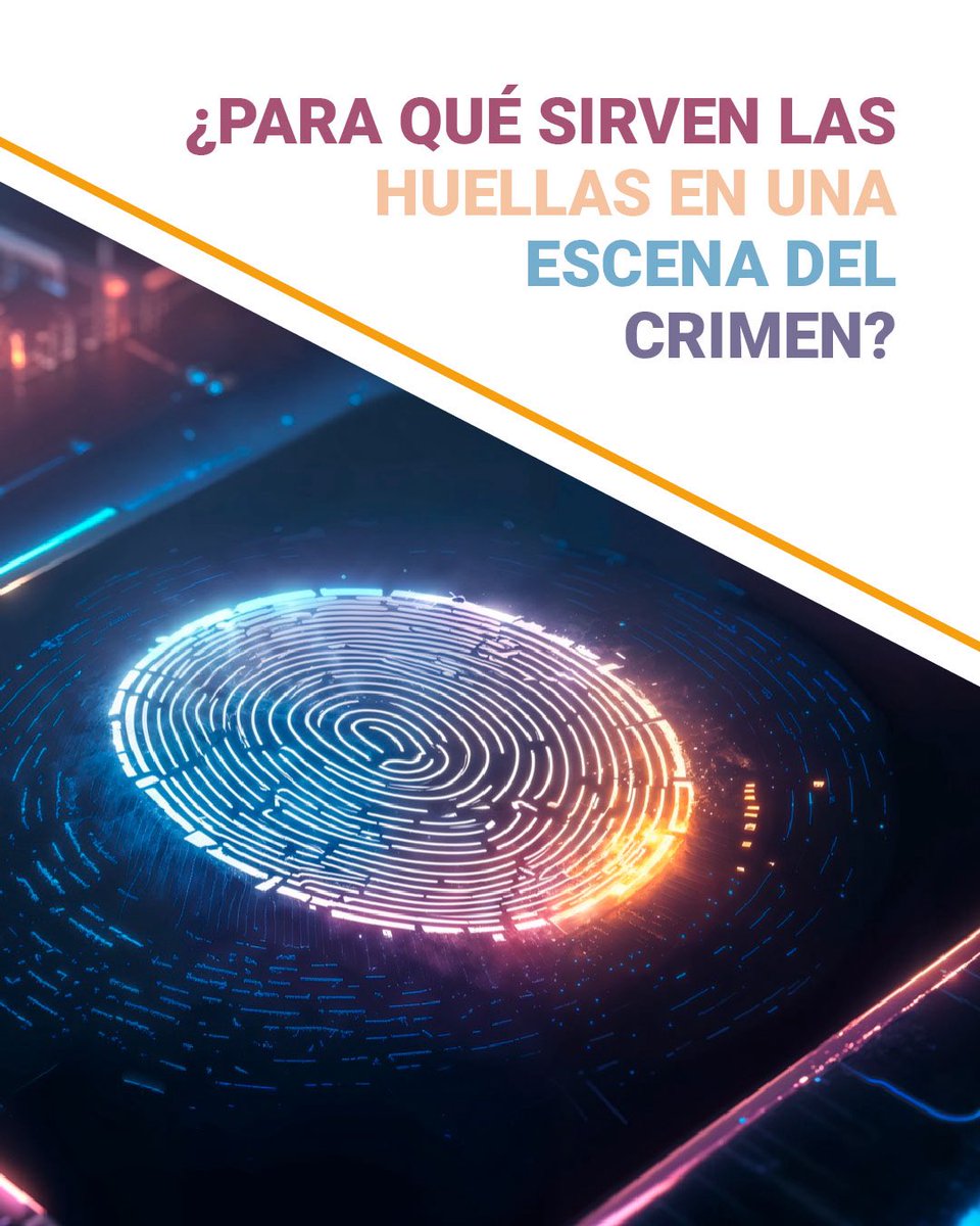 UIDforensic's tweet image. En la investigación criminal, las huellas dactilares no solo son marcas: son pruebas clave que permiten identificar personas, confirmar presencias y conectar evidencias con sospechosos.

Porque incluso una simple taza… puede contar más de lo que imaginas. ☕✨