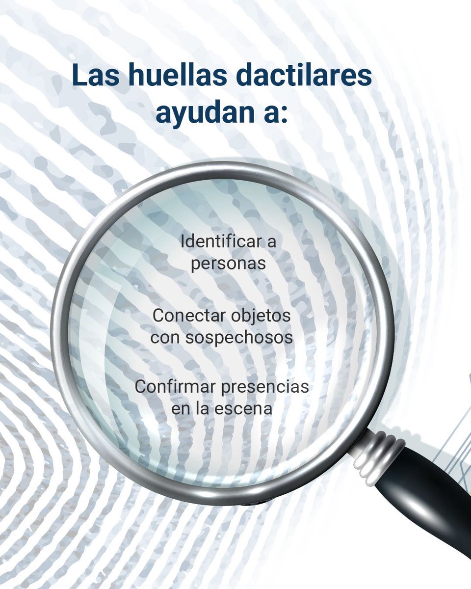 UIDforensic's tweet image. En la investigación criminal, las huellas dactilares no solo son marcas: son pruebas clave que permiten identificar personas, confirmar presencias y conectar evidencias con sospechosos.

Porque incluso una simple taza… puede contar más de lo que imaginas. ☕✨
