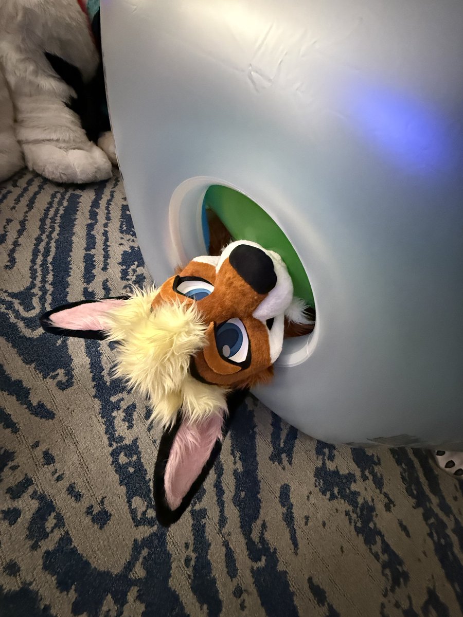 Over 5 minutes of torture, I would not break.

You will NEVER get my Runescape password. 

📸 <a href="/ToonersWuff/">Candy Wuff 🍭🍬 🔜 Furpoc</a>