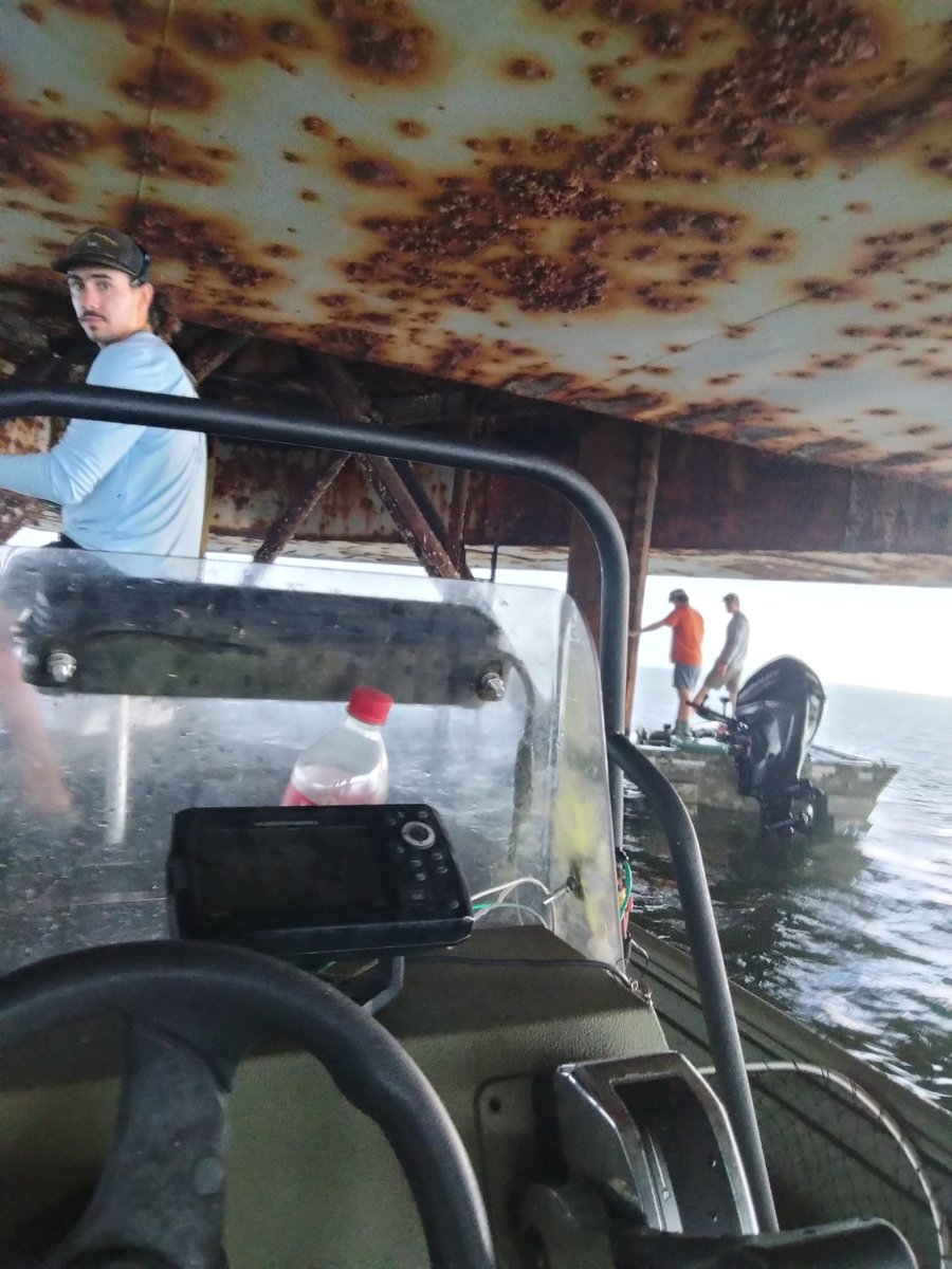 Ace Aarons Author tweet media