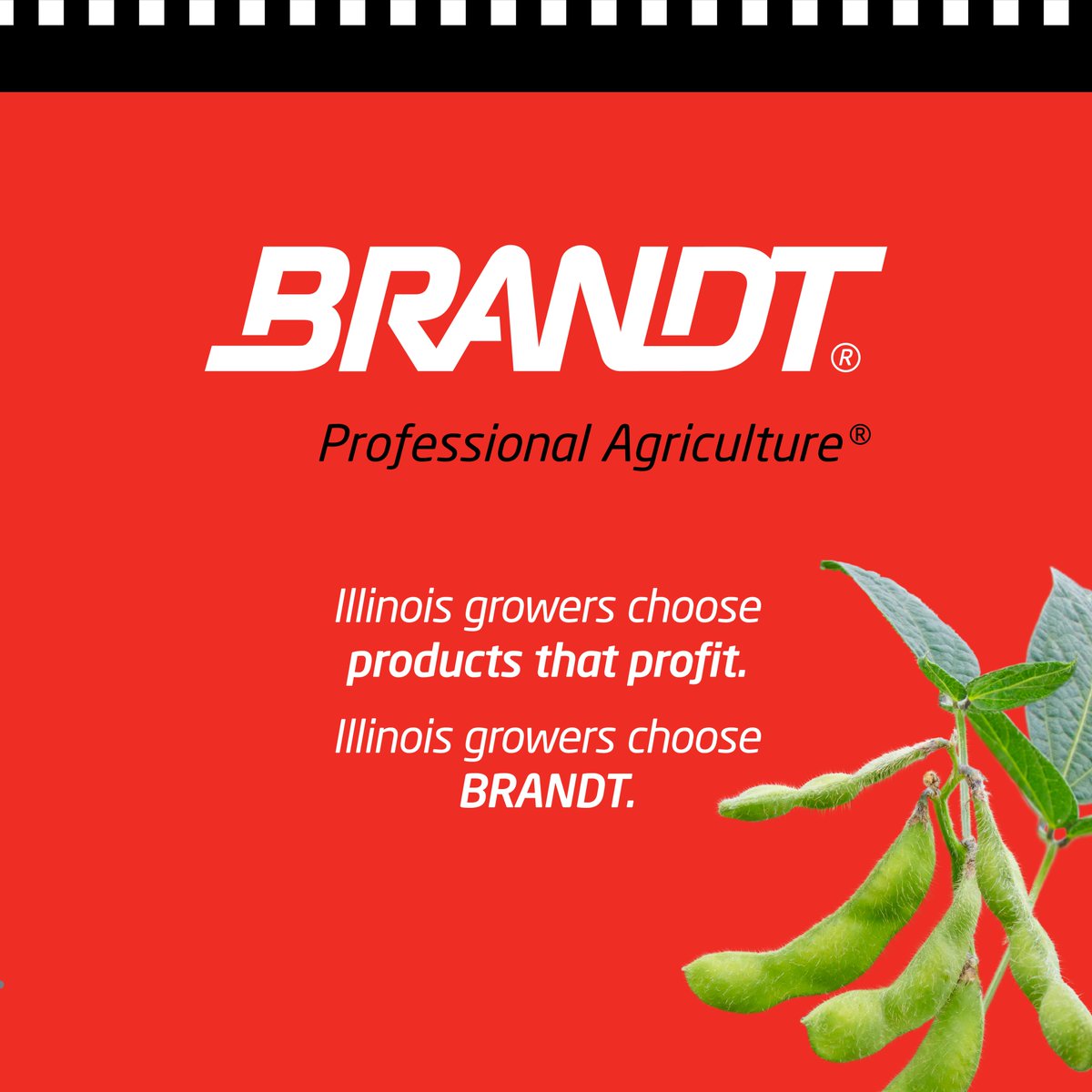 Soybeans ride shotgun on the No. 7 BRANDT Chevrolet this weekend at World Wide Technology Raceway.

We’re featuring BRANDT Smart Quatro Plus – built for excellent tank mix compatibility and efficient nutrient delivery to help farmers grow healthier, more resilient crops. More