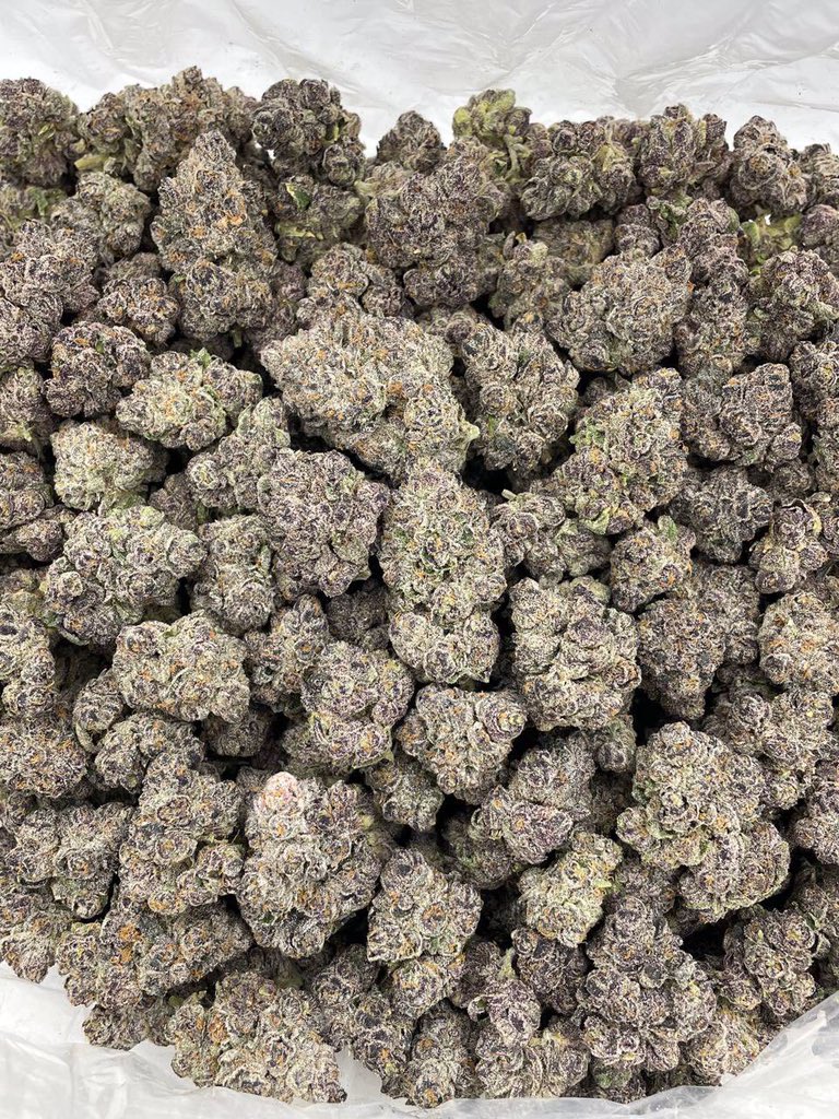 Perfect smoke 👇🏼

signal.group/#CjQKIEchHx9bG…