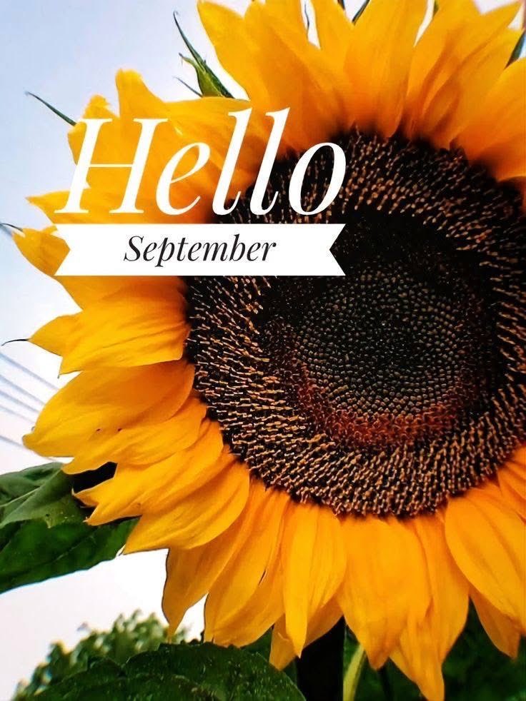 cassone2025's tweet image. #helloseptember 🌻