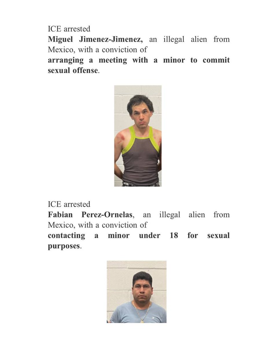 Benny Johnson tweet media