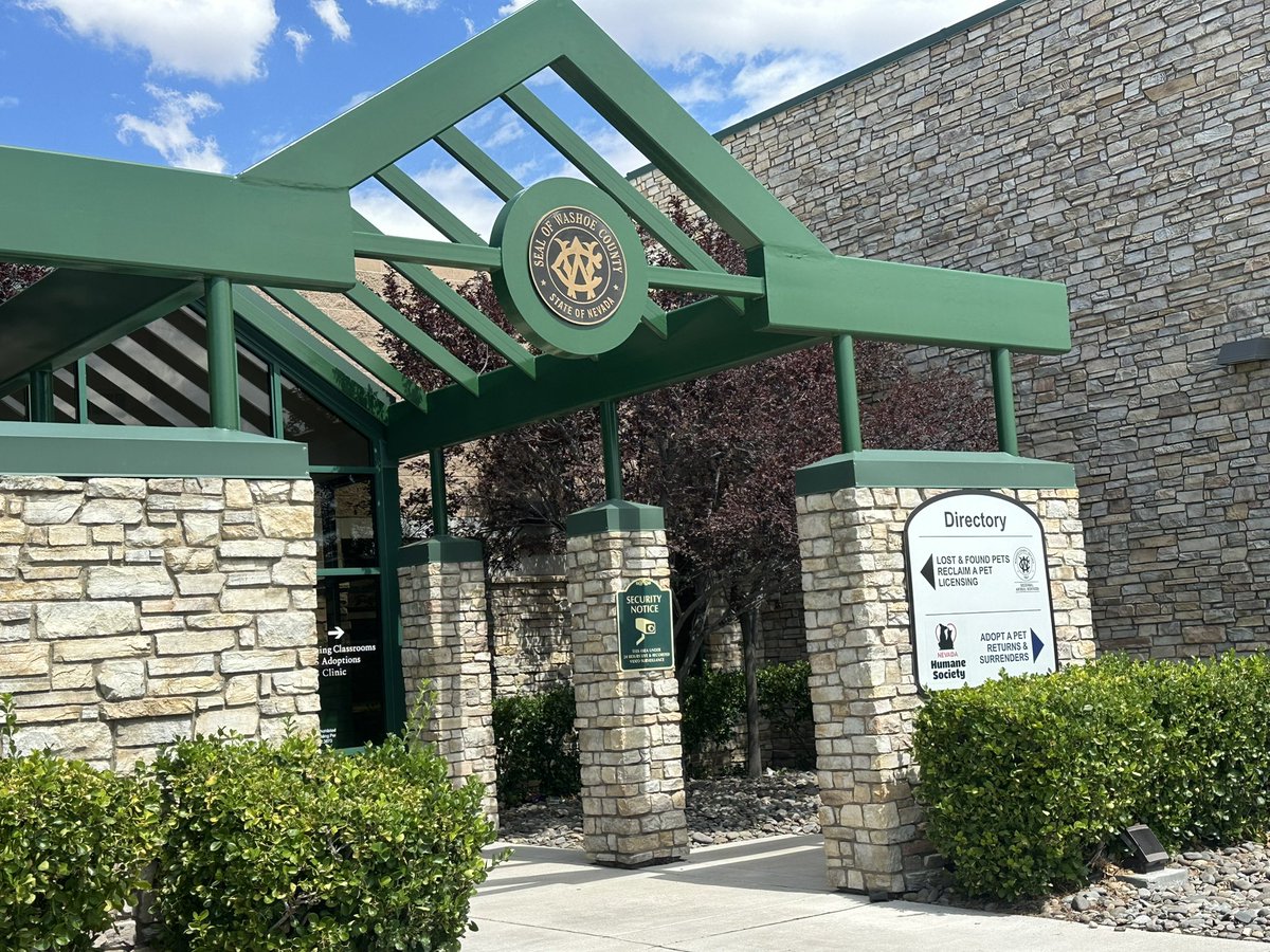 Washoe County Regional Animal Services seized 101 cats from a Reno home yesterday, prompting a critical capacity issue. 

More details on the home's conditions and the cats' health, coming up on News 4 tonight. @KRNV