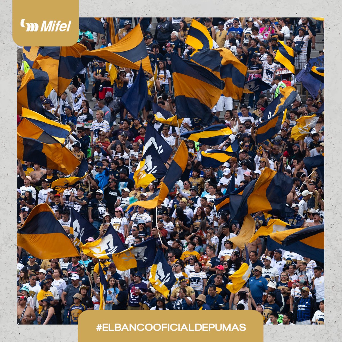📸<a href="/BancaMifel/">Banca Mifel</a> #ElBancoOficialDeLosPumas trae la galería de la afición, quien nunca deja de alentar.

¡Siempre contigo, Pumas! 🫶

#UnidosPorLaHistoria
