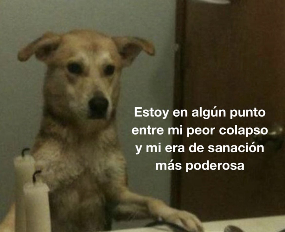 frasesfavor's tweet image. 