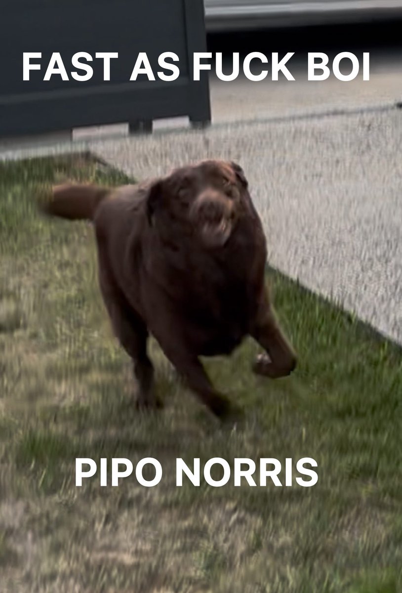 pxisonedyxuth's tweet image. Thanks «@AtinyOff for the opportunity and that’s perfect pic of my niece 😩