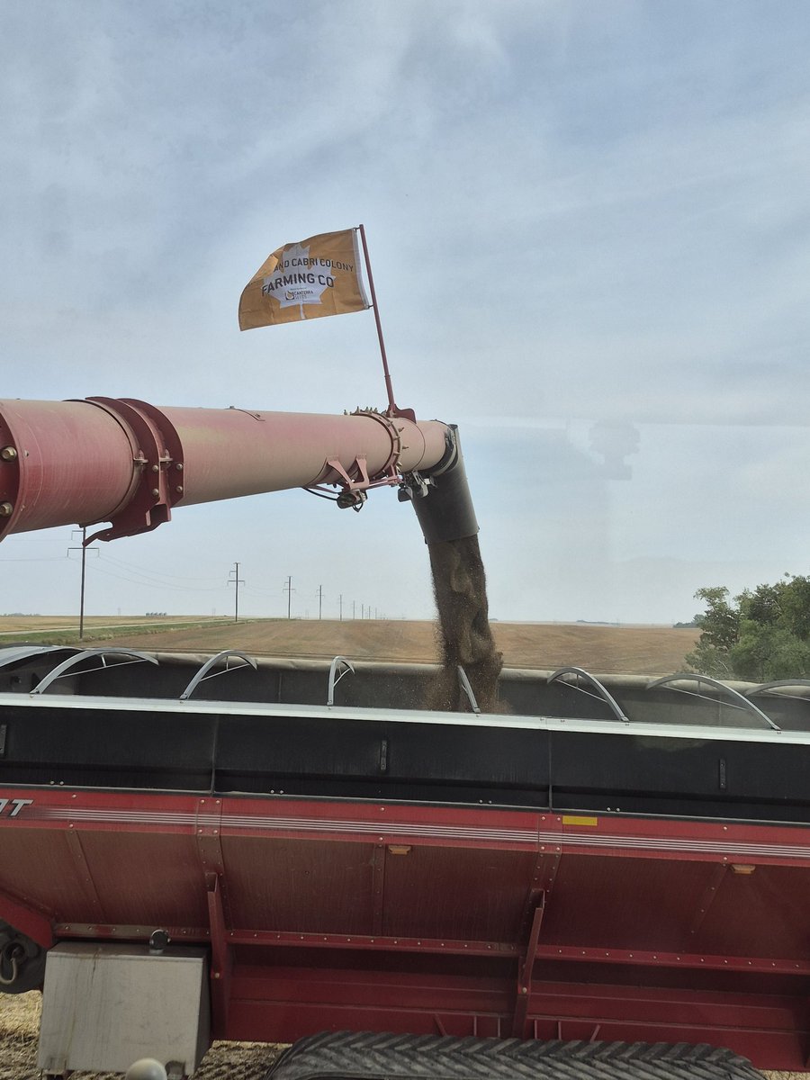 Page Newton tweet media