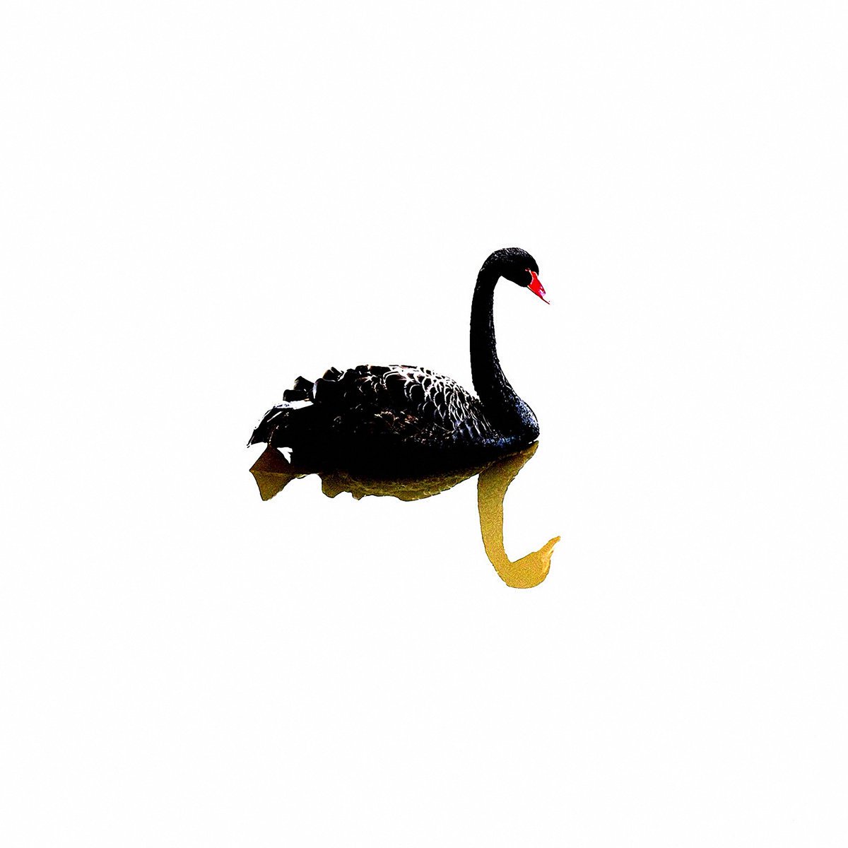 #NowPlaying Ran Slavin - Tell//me//now ( #shoegaze #postrock #idm #ambient ) ranslavin.bandcamp.com / mnsfm.art.br