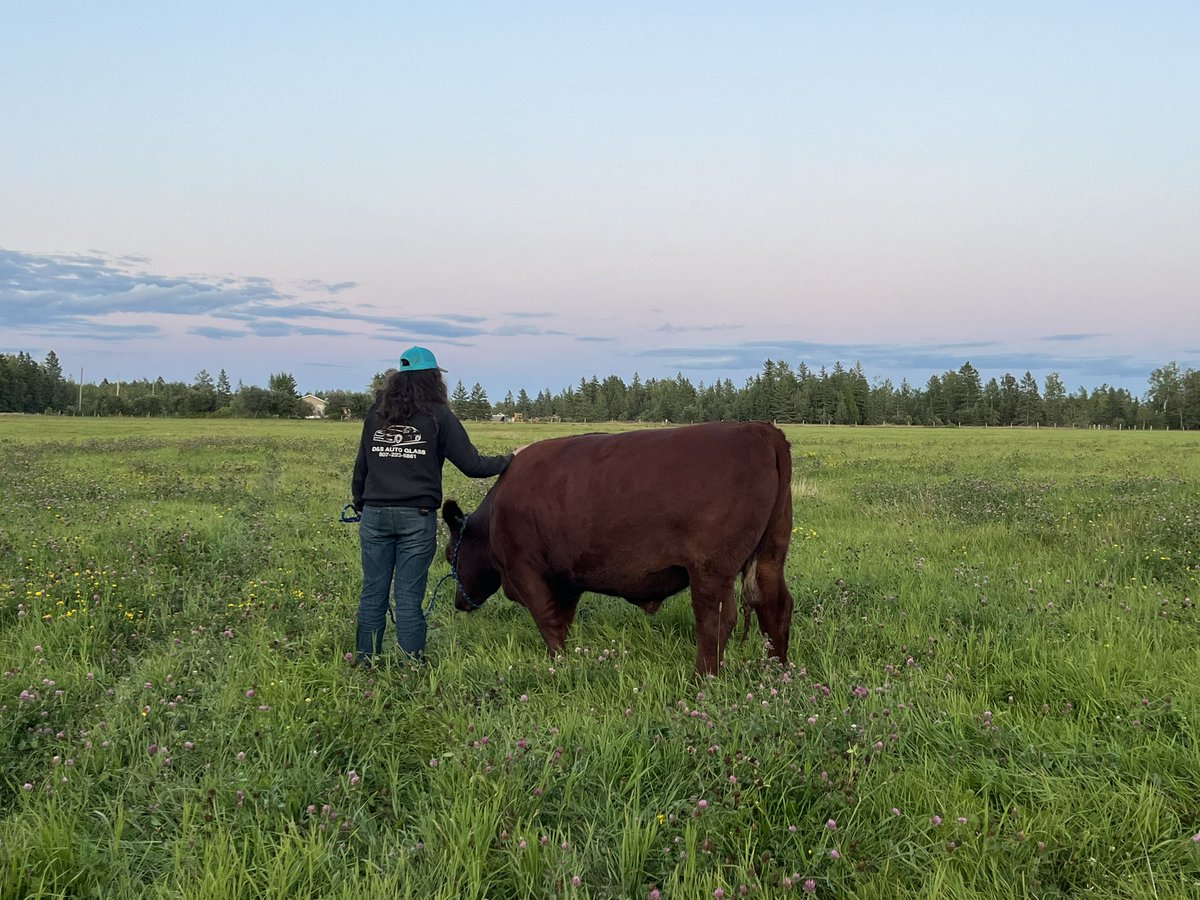 Stacey Angus tweet media