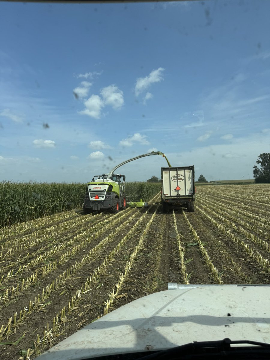 Cody Gradert tweet media