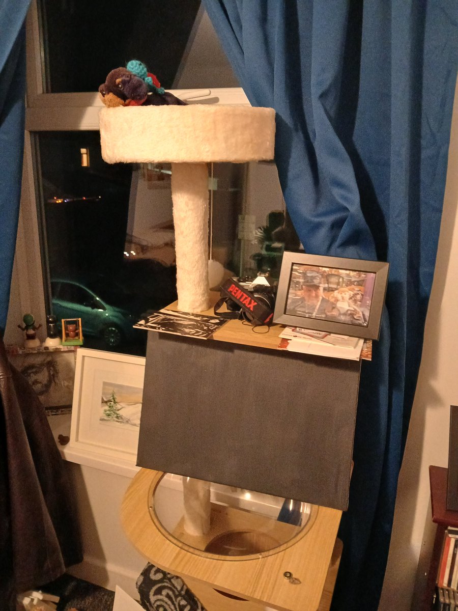 Scampertron tweet media