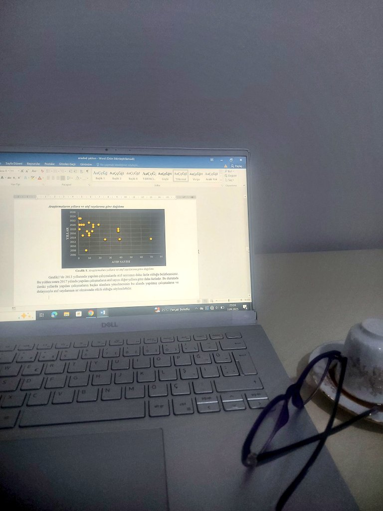 Makalemi bitirmek için akademik ilham perilerimi bekliyorum.🙏